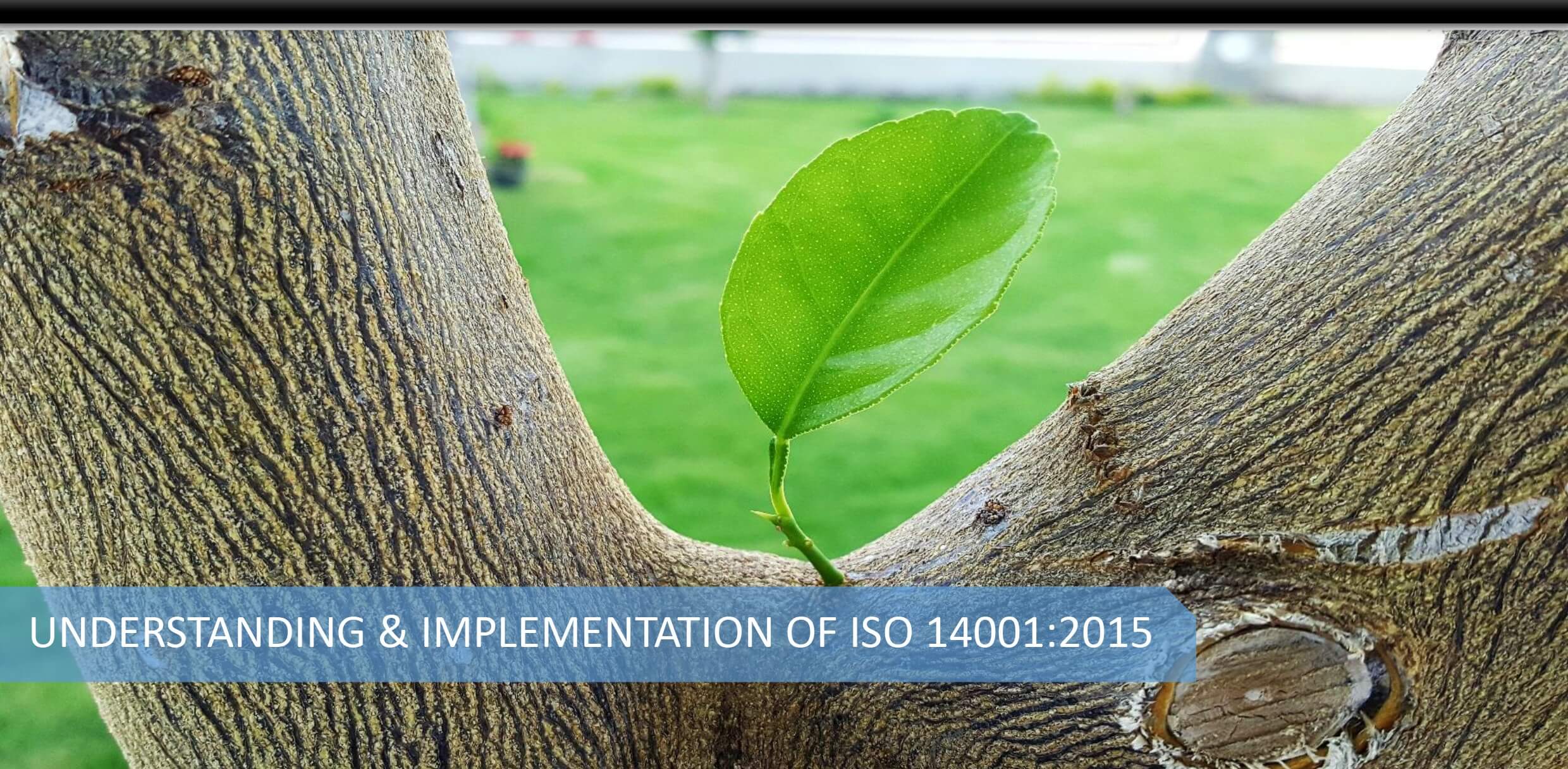 MSP0004 ISO 14001:2015 Understand