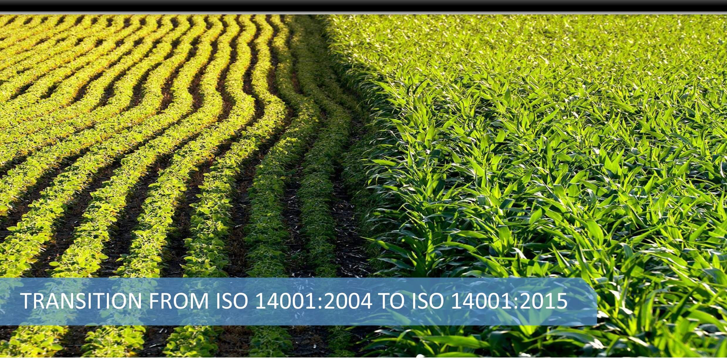 MSP0006 ISO 14001:2015 Transition